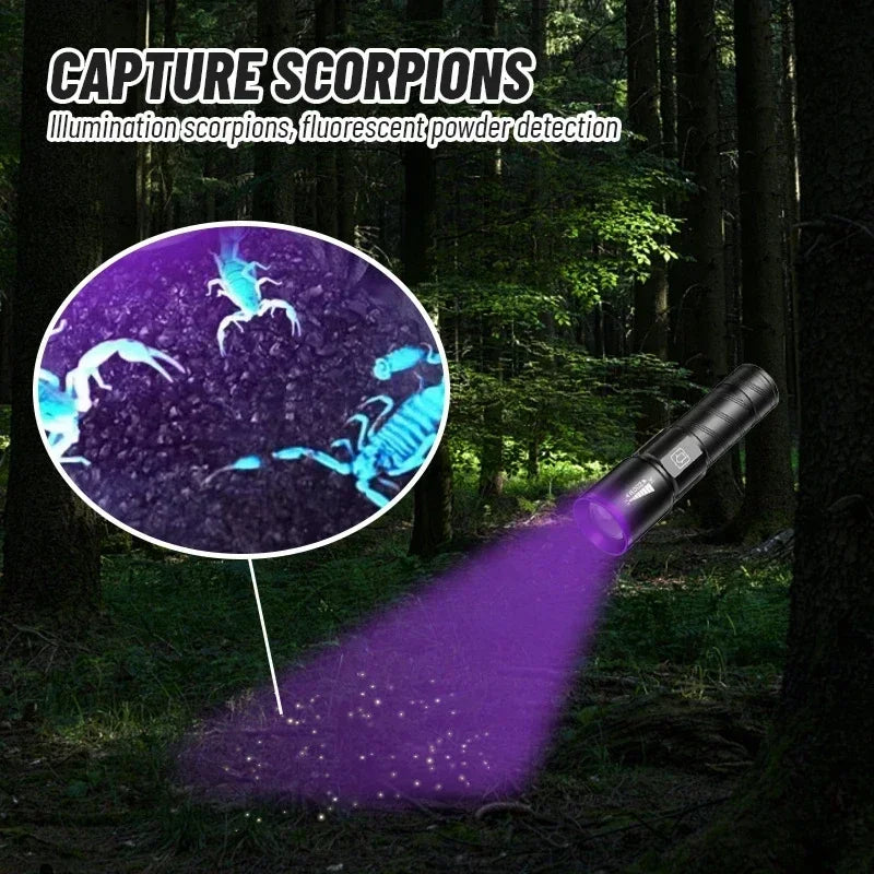 UV Flashlight LED Ultraviolet Torch Zoomable 395/365nm Inspection Light