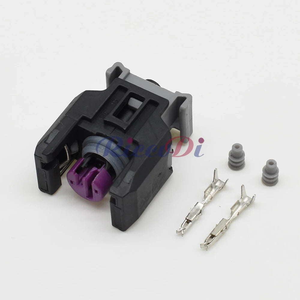 2 Pin Automotive Diesel Common Rail Injector Nozzle Plug Connector with Terminals Compatible with 13816706