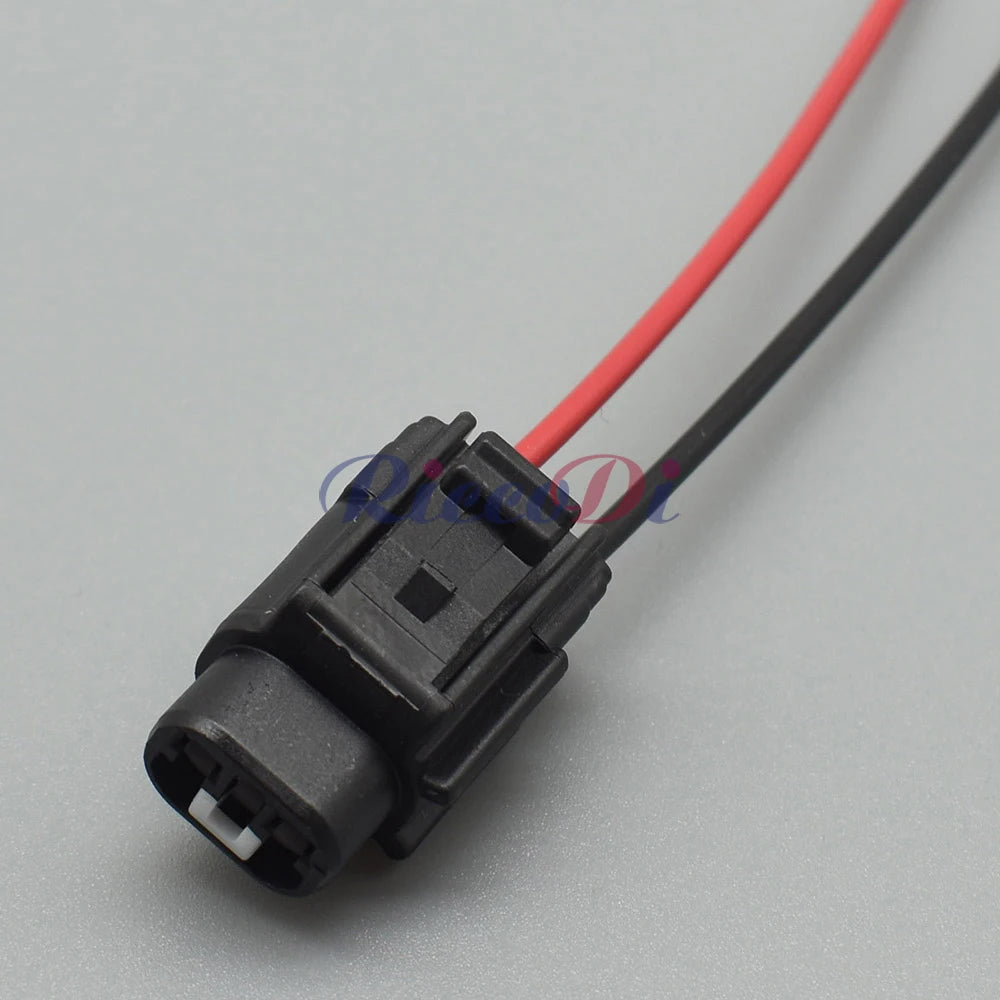 DJ70218Y-2.2-11/21 2-Pin Waterproof Connector for Fog and Taillight Wiring Toyota Reiz BYD F3