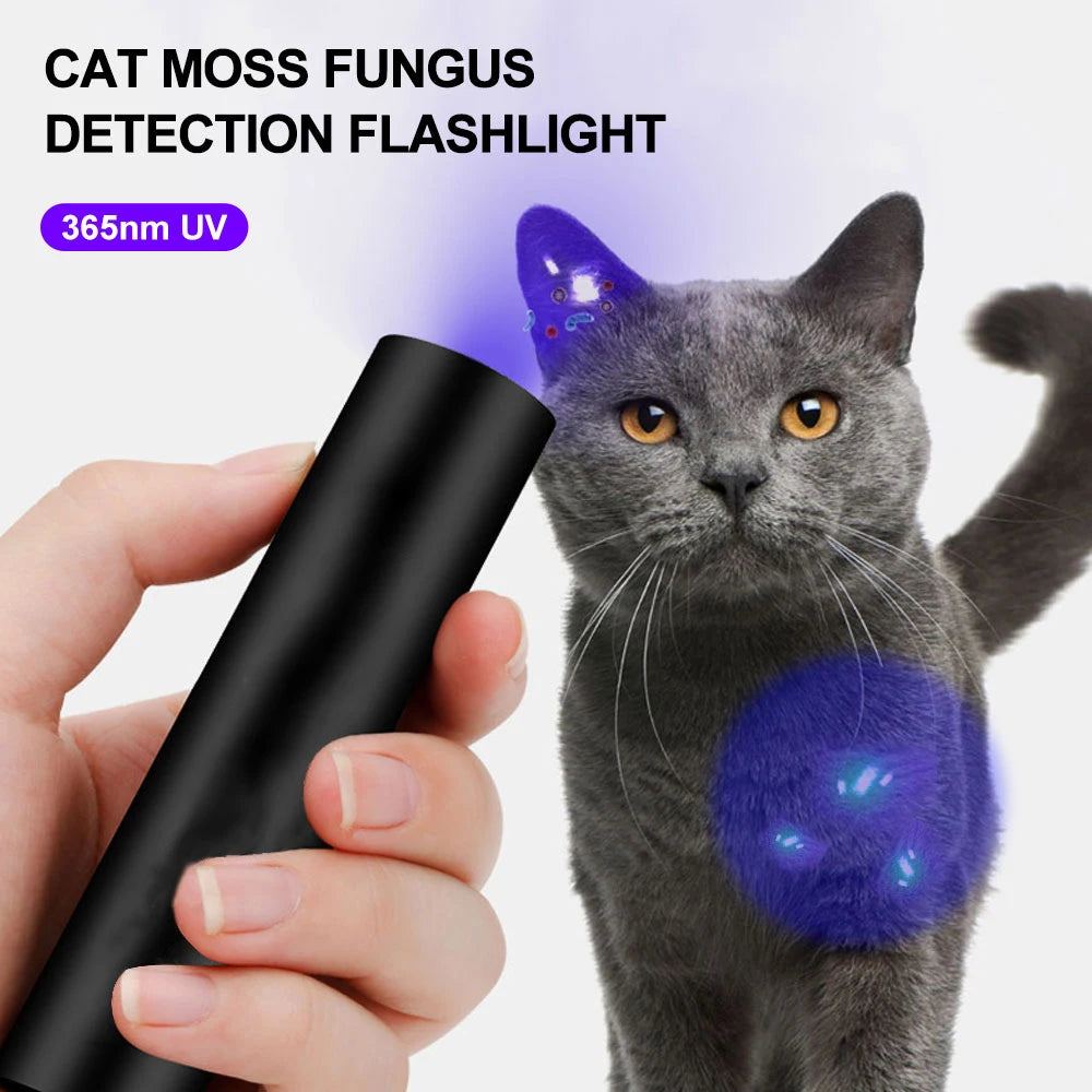 5W 365nm Mini UV Flashlight USB Rechargeable Ultraviolet Torch Pets Urine Cat tinea Money Ore Scorpion Detection Purple Light