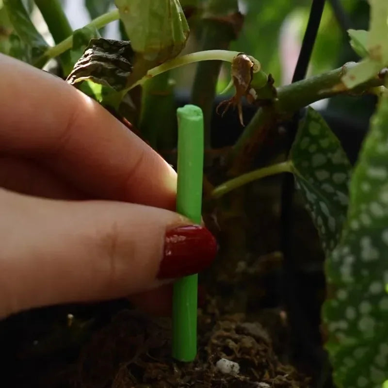 Plant Slow-release Sticks Nutrient Stick Universal Indoor Potted Flower Pot Plants Fertilizer Bars Enhancer Garden Accessories