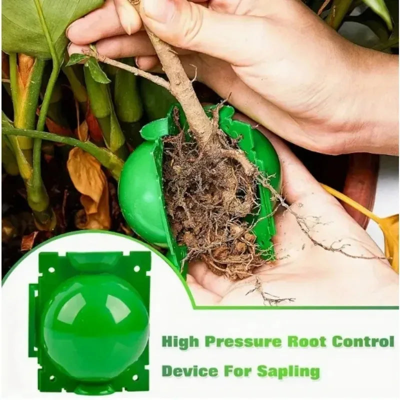 5/20 Plant Rooting Equipment High Pressure Propagation Ball Garden Graft Box Grafting Rooting Growing Breeding For Garden Tools
