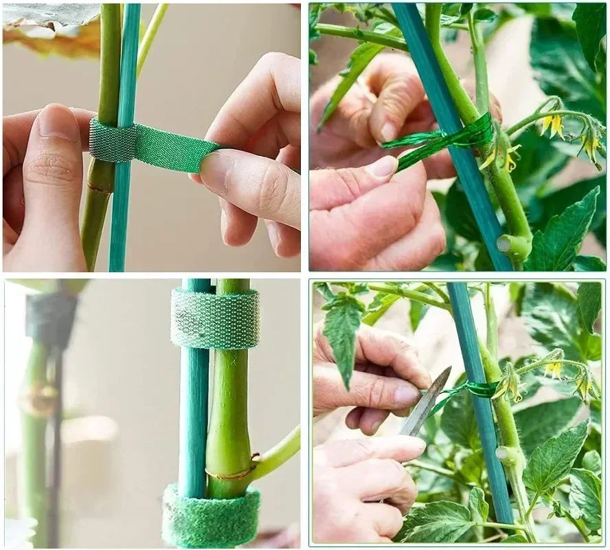 Plant Support Sticks Canes Bamboo Plants Stakes Potted Plants Tomato Sticks Supports Flower Sticks Climbing Plant Garden Tools