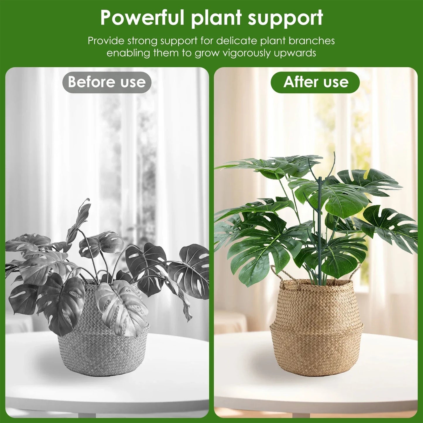 Plant Support Stake 30/3PCS Vine Climbing Fixing Rod for Potted Plants