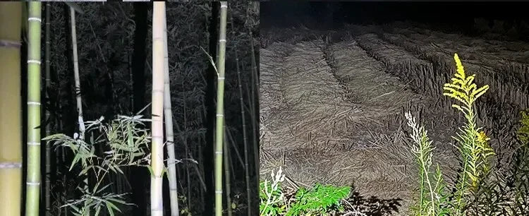 USB-C Rechargeable LED Headlamp Sensor Headlight for Outdoor