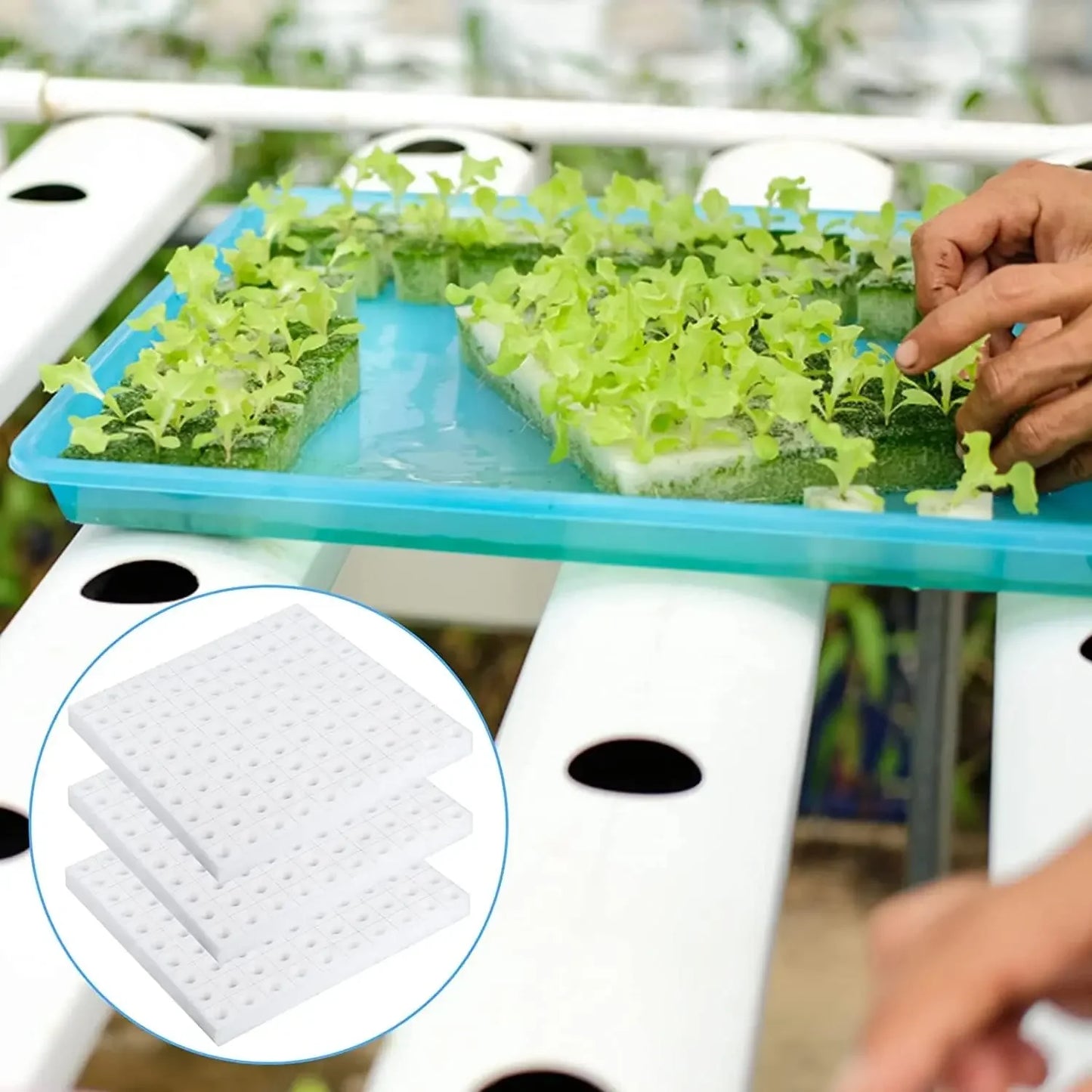 500/100PCS Hydroponic Plant Sponge Garden Cultivation Seedling Soilless Culture Planting Tools Vegetables Nursery Pots Trays