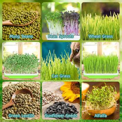 Microgreens Sprout Tray Germination Tray Hydroponics Tray Double Layer Sprout Plate Nursery Pots Soilless Cultivation Planting
