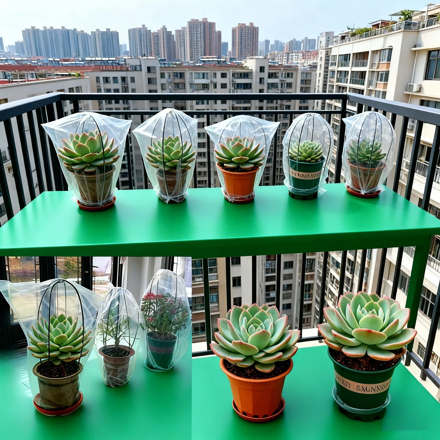 Winter Plant Covers Freeze Protection Plastic Transparent Plant Film Cover Waterproof Frost Bags for Outdoor Garden Supplies