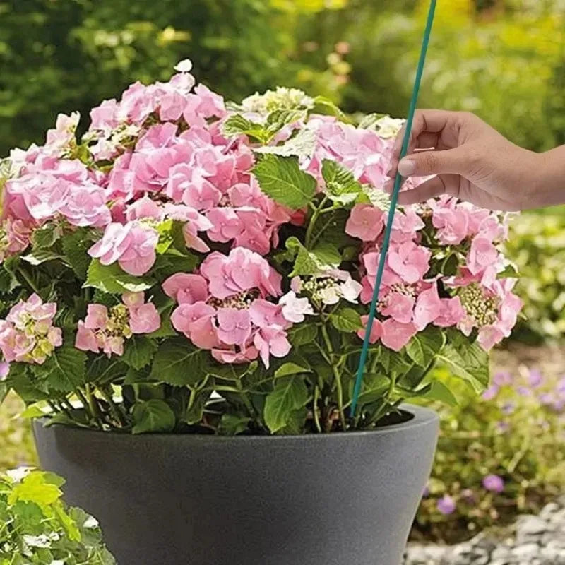 Plant Support Sticks Canes Bamboo Plants Stakes Potted Plants Tomato Sticks Supports Flower Sticks Climbing Plant Garden Tools