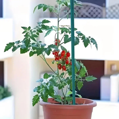 Plant Support Sticks Canes Bamboo Plants Stakes Potted Plants Tomato Sticks Supports Flower Sticks Climbing Plant Garden Tools