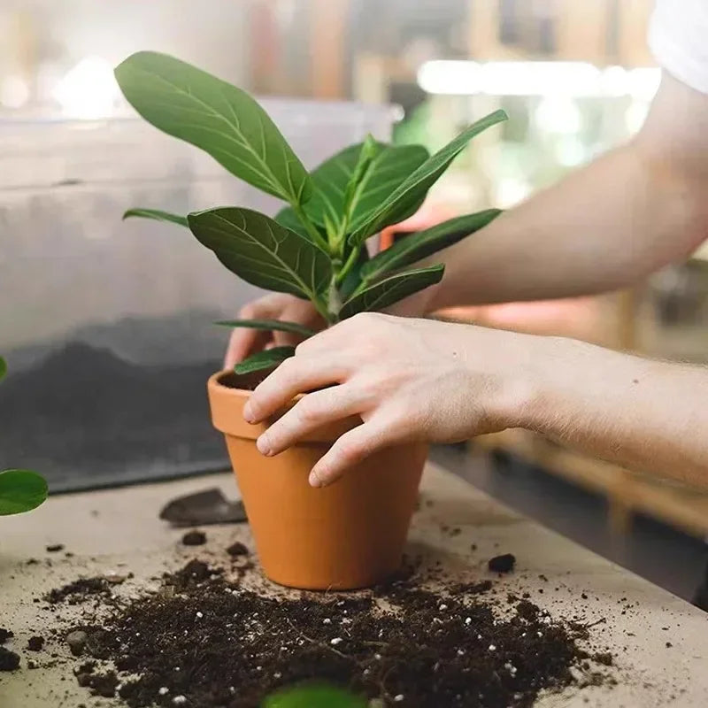Plant Slow-release Sticks Nutrient Stick Universal Indoor Potted Flower Pot Plants Fertilizer Bars Enhancer Garden Accessories