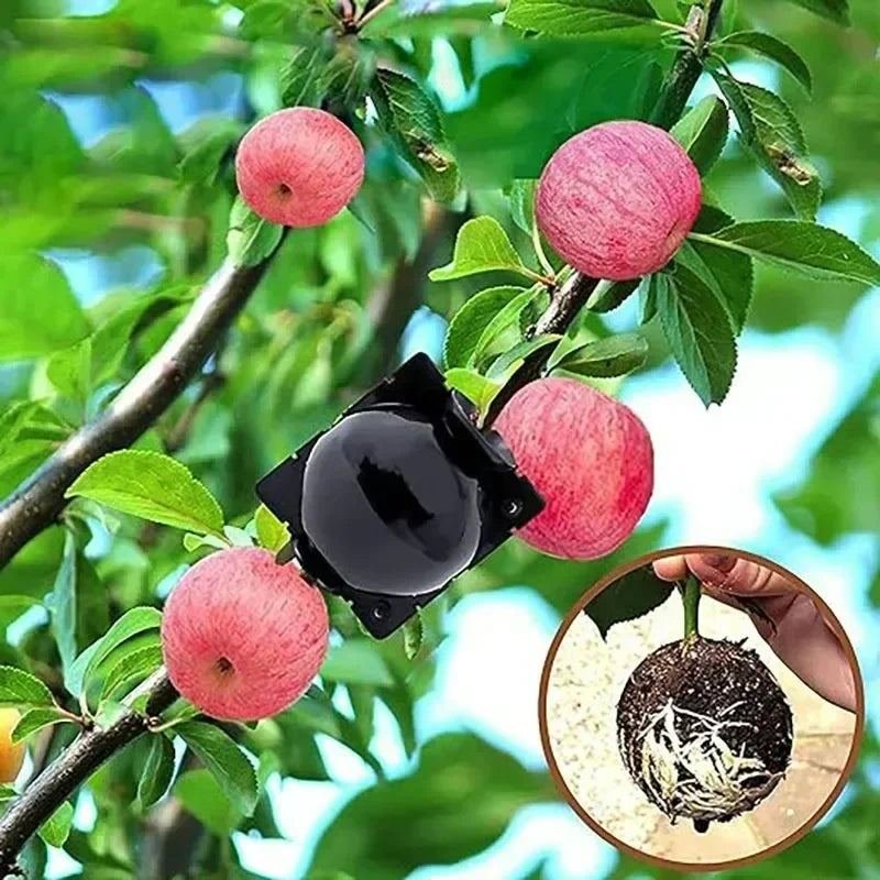 5/20 Plant Rooting Equipment High Pressure Propagation Ball Garden Graft Box Grafting Rooting Growing Breeding For Garden Tools