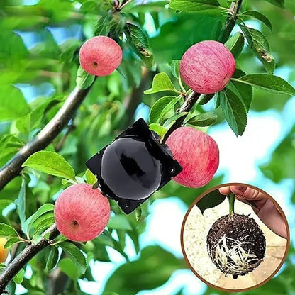 5/20 Plant Rooting Equipment High Pressure Propagation Ball Garden Graft Box Grafting Rooting Growing Breeding For Garden Tools