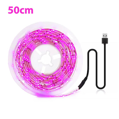 5V USB Led Plant Grow Light Full Spectrum Phyto Lamp 1m 2m 3m Strip For Seeds Flower Greenhouse Tent Hydroponic Plants Lighting