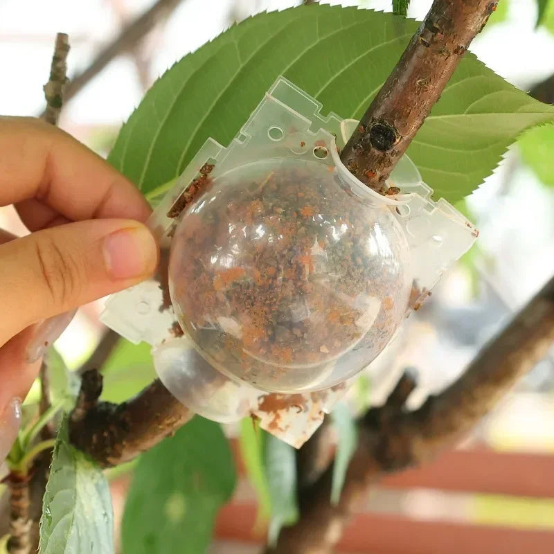 5/20 Plant Rooting Equipment High Pressure Propagation Ball Garden Graft Box Grafting Rooting Growing Breeding For Garden Tools
