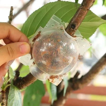 5/20 Plant Rooting Equipment High Pressure Propagation Ball Garden Graft Box Grafting Rooting Growing Breeding For Garden Tools