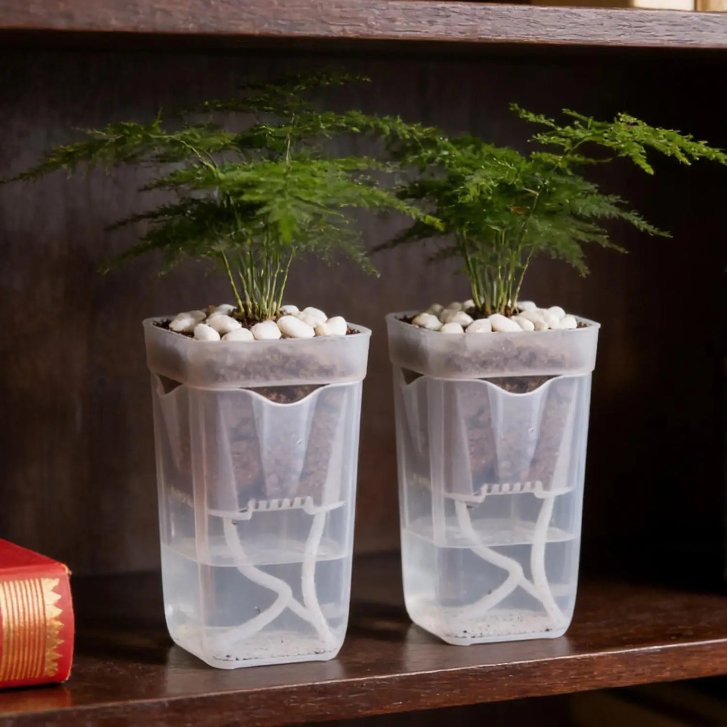 5./1PCS Self Watering Flower Pots Plastic Plant Pot with Drainage Holes Transparent Planting Flower Pot Home Garden Accessories