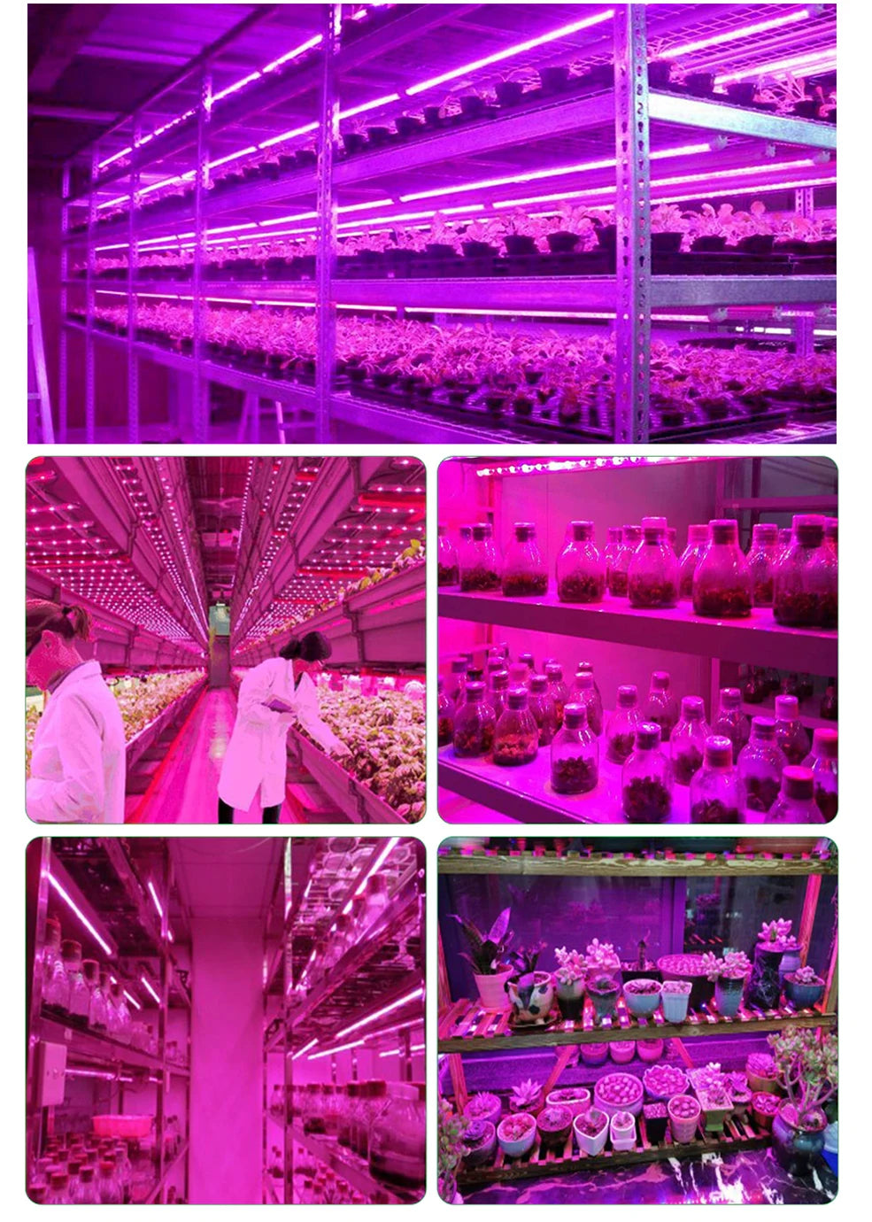 5V USB Led Plant Grow Light Full Spectrum Phyto Lamp 1m 2m 3m Strip For Seeds Flower Greenhouse Tent Hydroponic Plants Lighting
