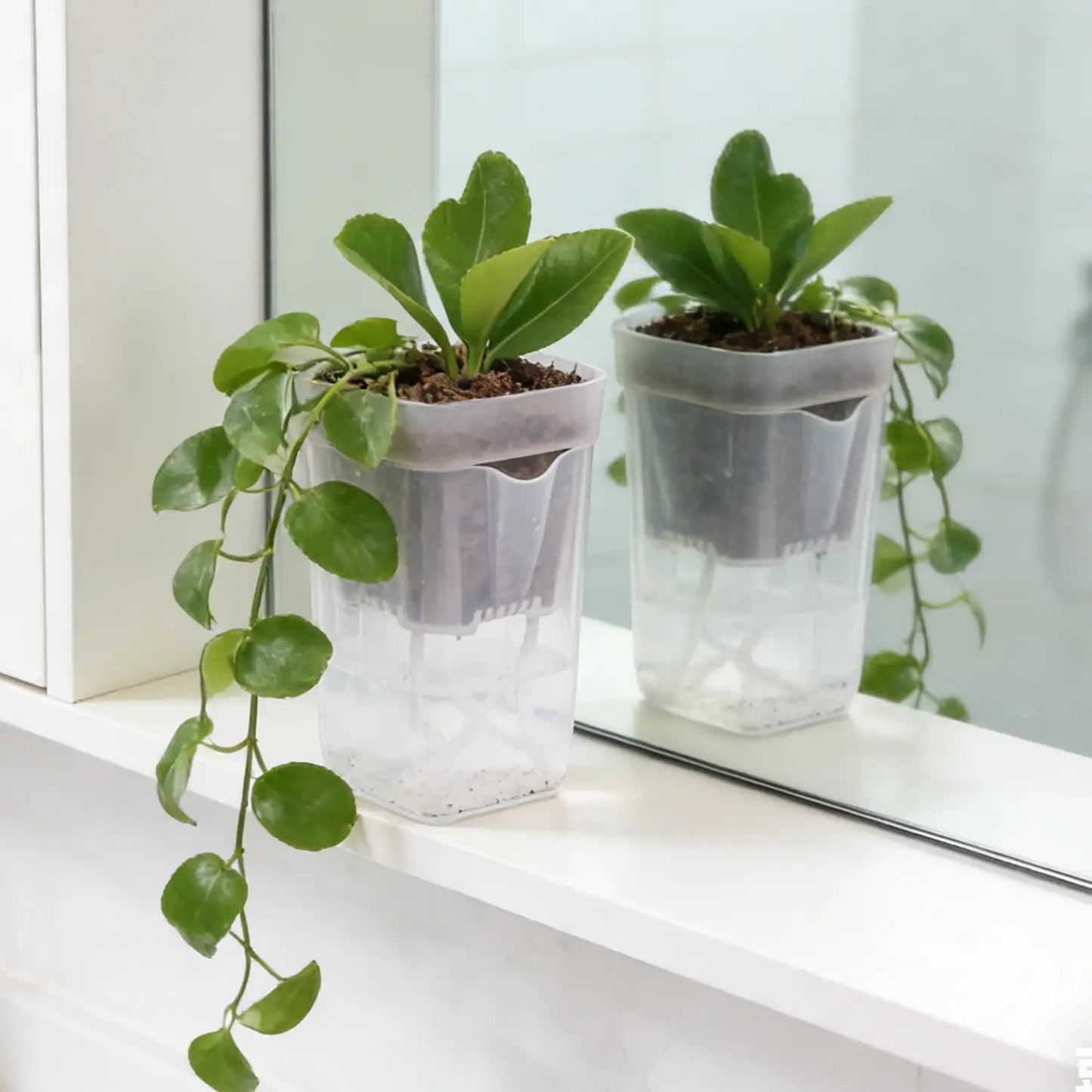 5./1PCS Self Watering Flower Pots Plastic Plant Pot with Drainage Holes Transparent Planting Flower Pot Home Garden Accessories