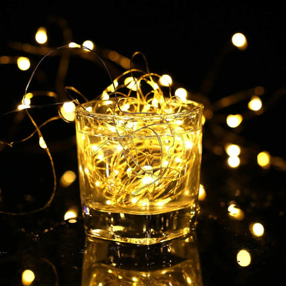 USB Copper Wire LED String Lights Waterproof Fairy Garland 2M/100LED