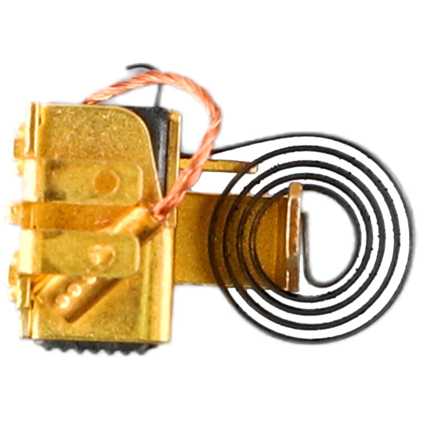 Carbon Brush Premium Replacement Carbon Brush Kit with Spring and Holder for Bosch GWS6 100 Guaranteed Compatibility