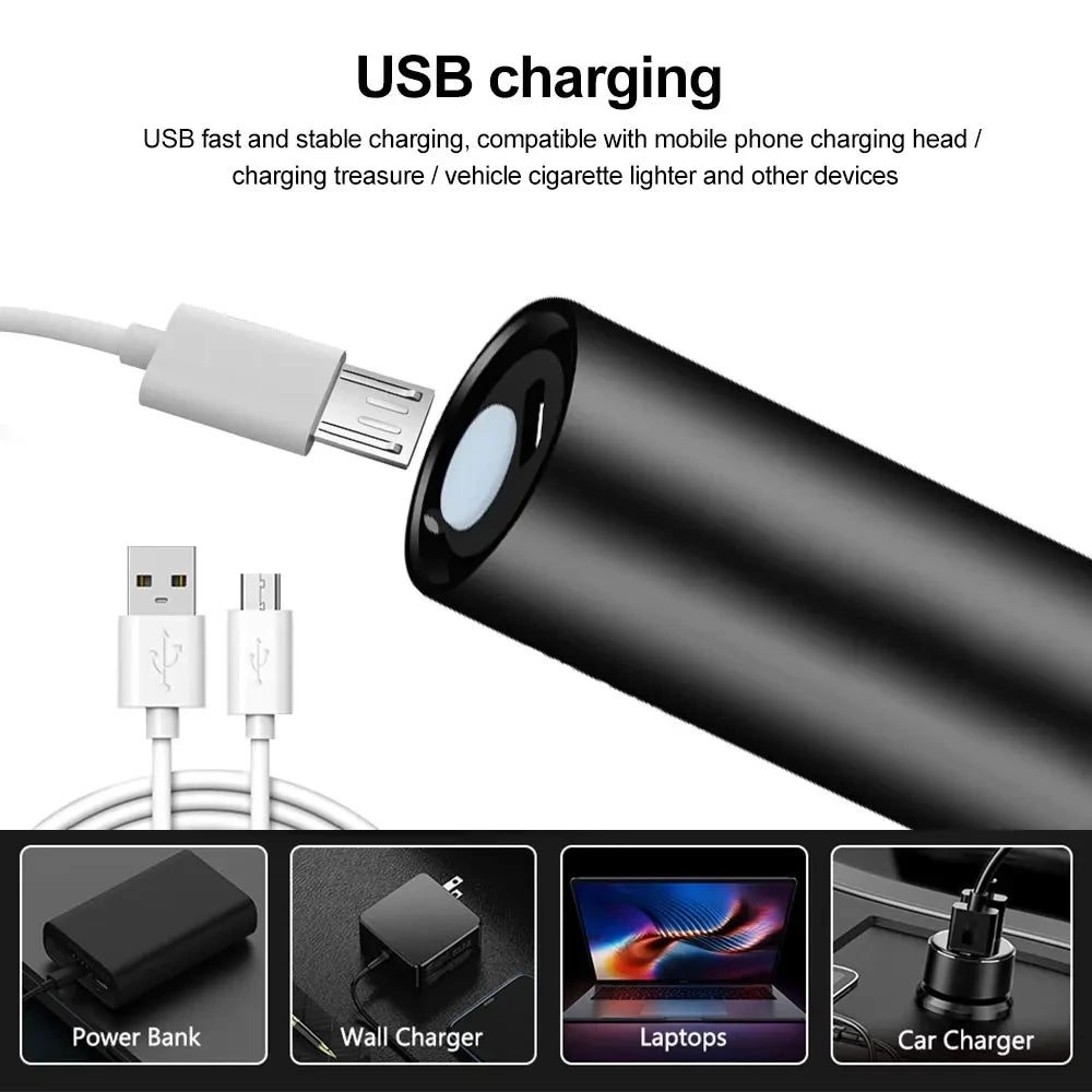 5W 365nm Mini UV Flashlight USB Rechargeable Ultraviolet Torch Pets Urine Cat tinea Money Ore Scorpion Detection Purple Light