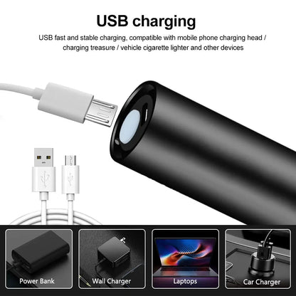5W 365nm Mini UV Flashlight USB Rechargeable Ultraviolet Torch Pets Urine Cat tinea Money Ore Scorpion Detection Purple Light