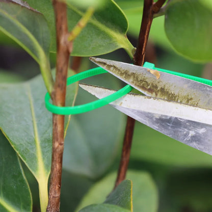 300/50PCS Self-Locking Nylon Cable Ties Green Fastening Wraps for Garden