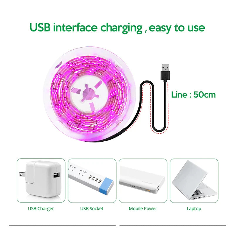 5V USB Led Plant Grow Light Full Spectrum Phyto Lamp 1m 2m 3m Strip For Seeds Flower Greenhouse Tent Hydroponic Plants Lighting