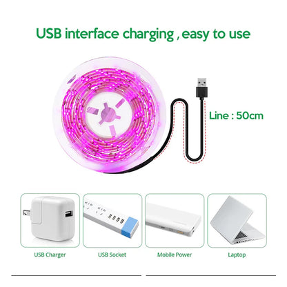 5V USB Led Plant Grow Light Full Spectrum Phyto Lamp 1m 2m 3m Strip For Seeds Flower Greenhouse Tent Hydroponic Plants Lighting