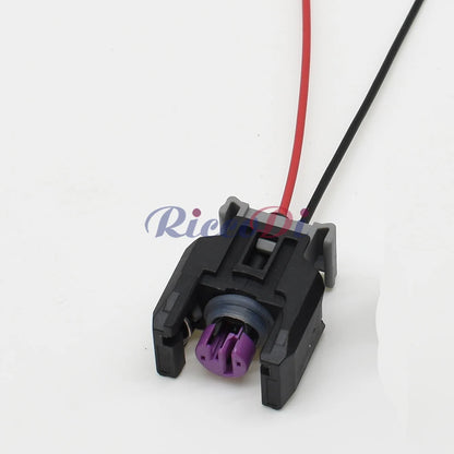 2 Pin Automotive Diesel Common Rail Injector Nozzle Plug Connector with Terminals Compatible with 13816706
