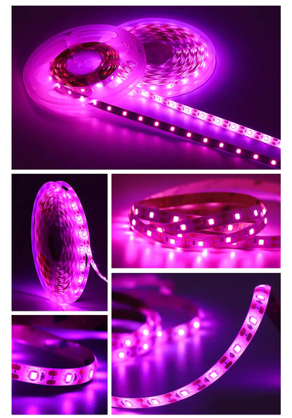 5V USB Led Plant Grow Light Full Spectrum Phyto Lamp 1m 2m 3m Strip For Seeds Flower Greenhouse Tent Hydroponic Plants Lighting
