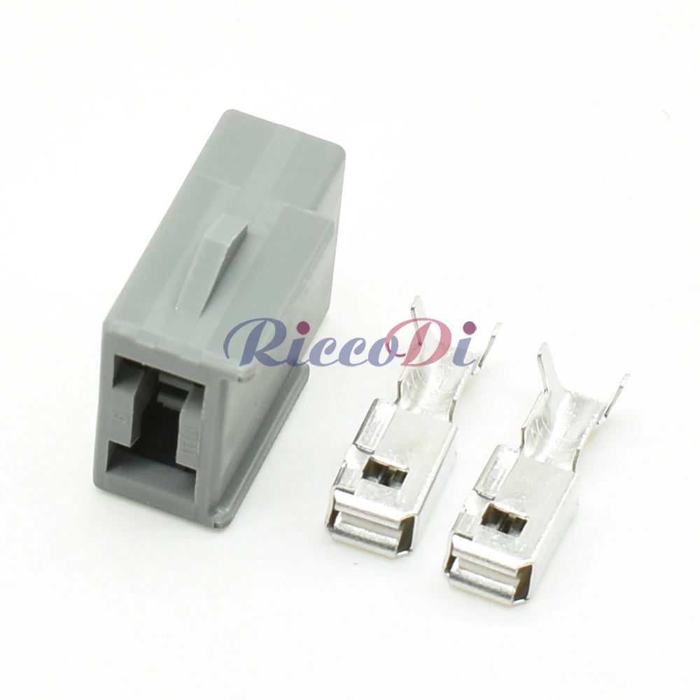 DJ70296-6.3-11/21 2-Pin 6.3mm Waterproof Automotive Connector Plug with Terminals