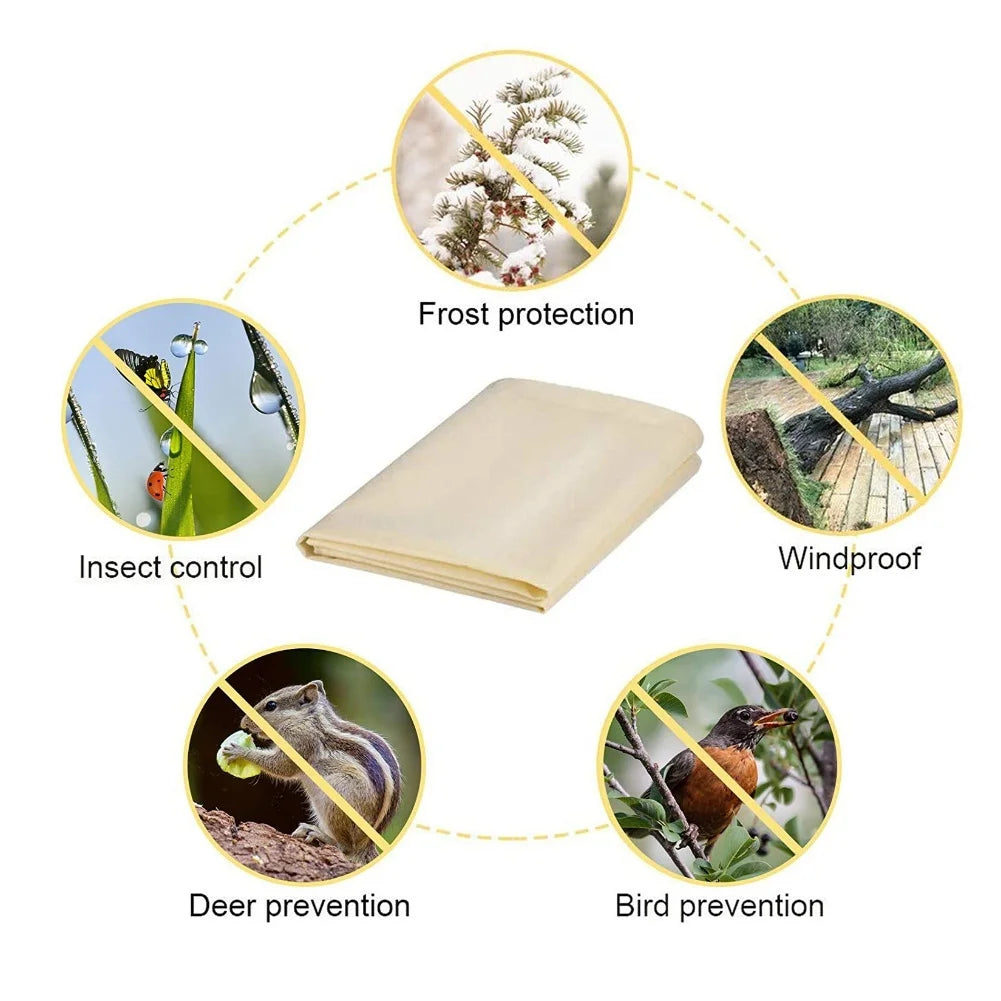 Container Heavy-Duty Plant Bags Easy To Clean And Store Practical Draw ...