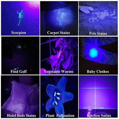 395nm UV Flashlight Blacklight Zoomable USB Rechargeable UV Light