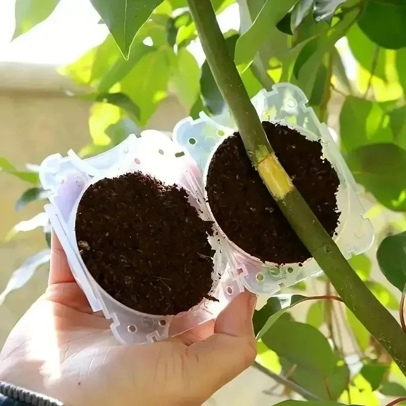5/20 Plant Rooting Equipment High Pressure Propagation Ball Garden Graft Box Grafting Rooting Growing Breeding For Garden Tools