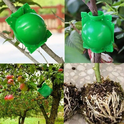 5/20 Plant Rooting Equipment High Pressure Propagation Ball Garden Graft Box Grafting Rooting Growing Breeding For Garden Tools