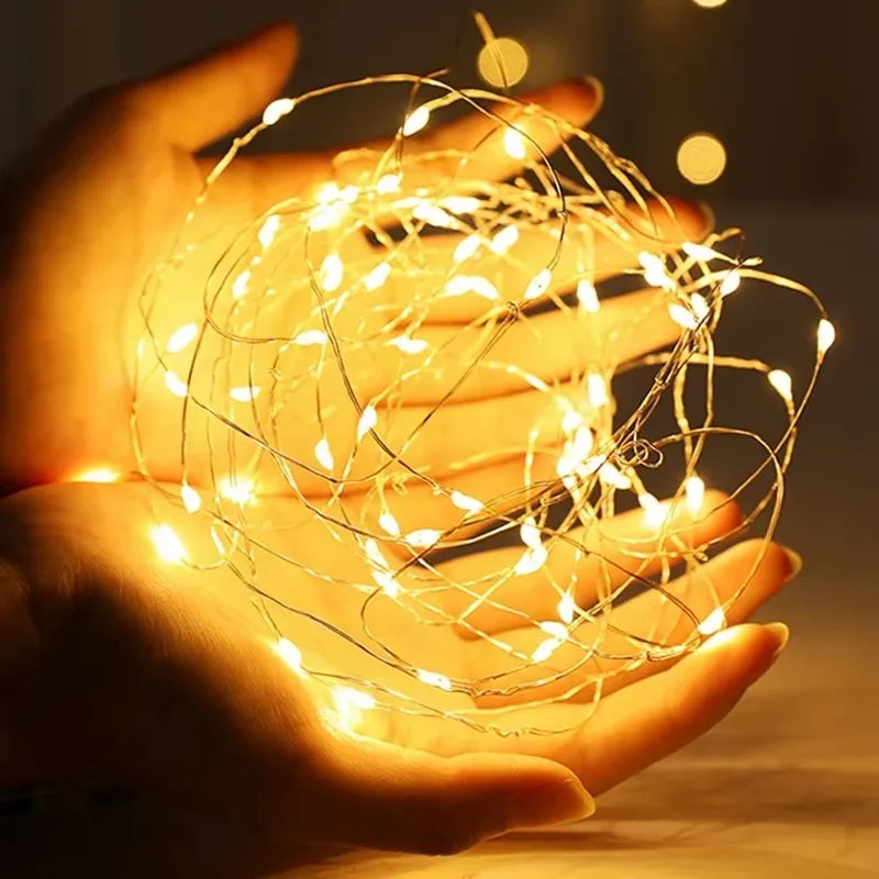 USB Copper Wire LED String Lights Waterproof Fairy Garland 2M/100LED
