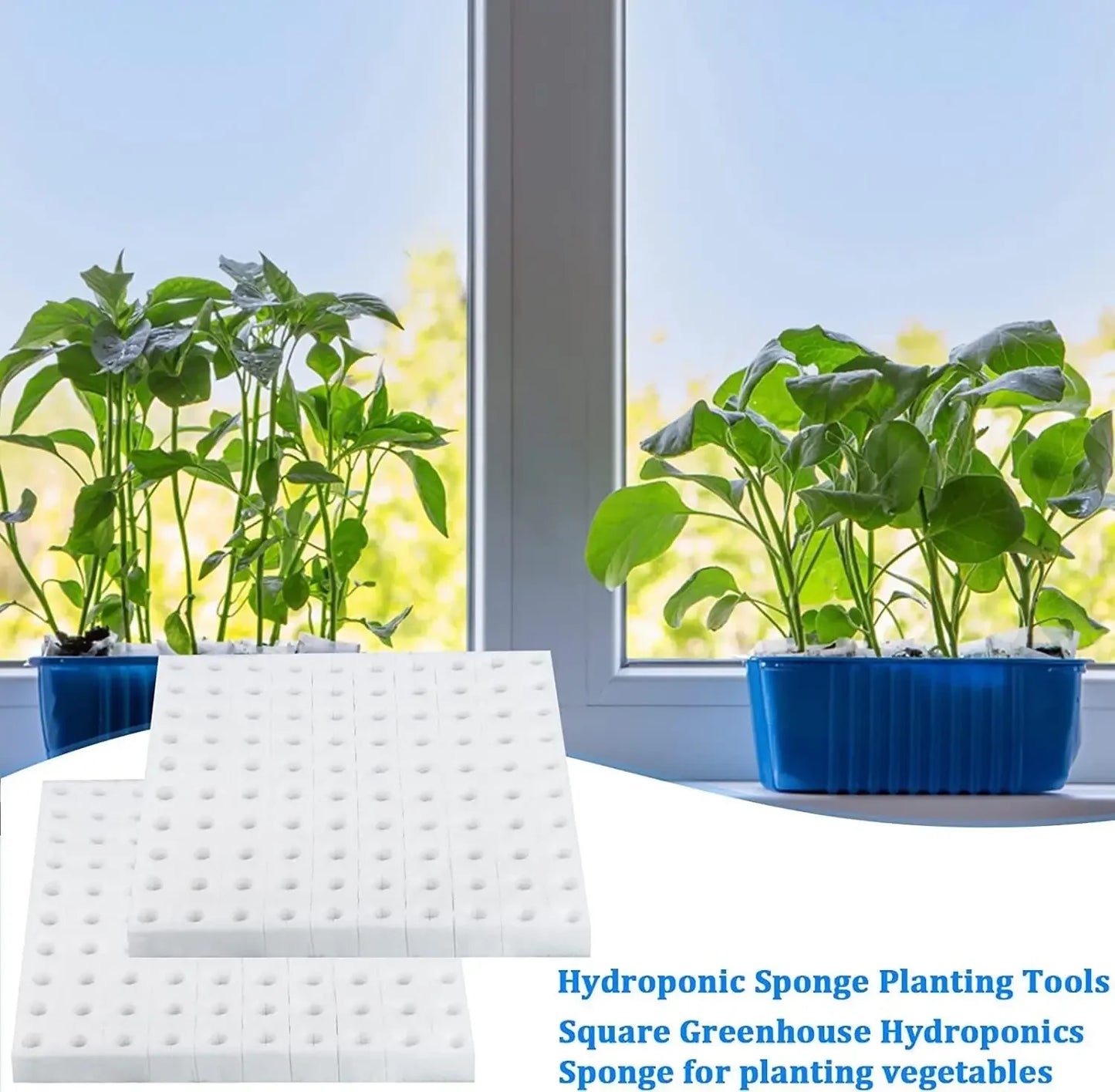500/100PCS Hydroponic Plant Sponge Garden Cultivation Seedling Soilless Culture Planting Tools Vegetables Nursery Pots Trays