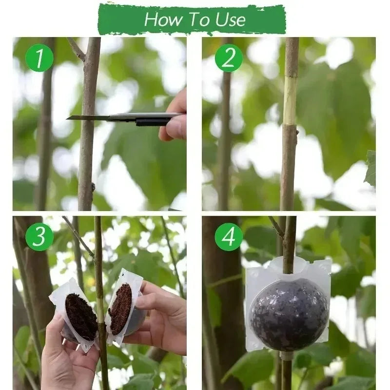 5/20 Plant Rooting Equipment High Pressure Propagation Ball Garden Graft Box Grafting Rooting Growing Breeding For Garden Tools