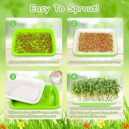Microgreens Sprout Tray Germination Tray Hydroponics Tray Double Layer Sprout Plate Nursery Pots Soilless Cultivation Planting