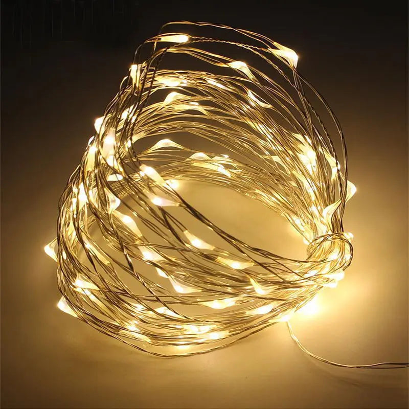 Christmas Party Wedding Decoration Remote Control Waterproof Battery Operated Fairy Lights 5/10/20/30 Meter Copper Wire String