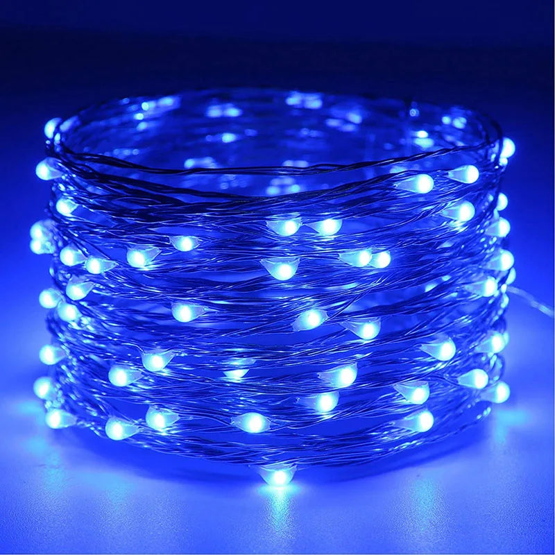 USB Copper Wire LED String Lights Waterproof Fairy Garland 2M/100LED