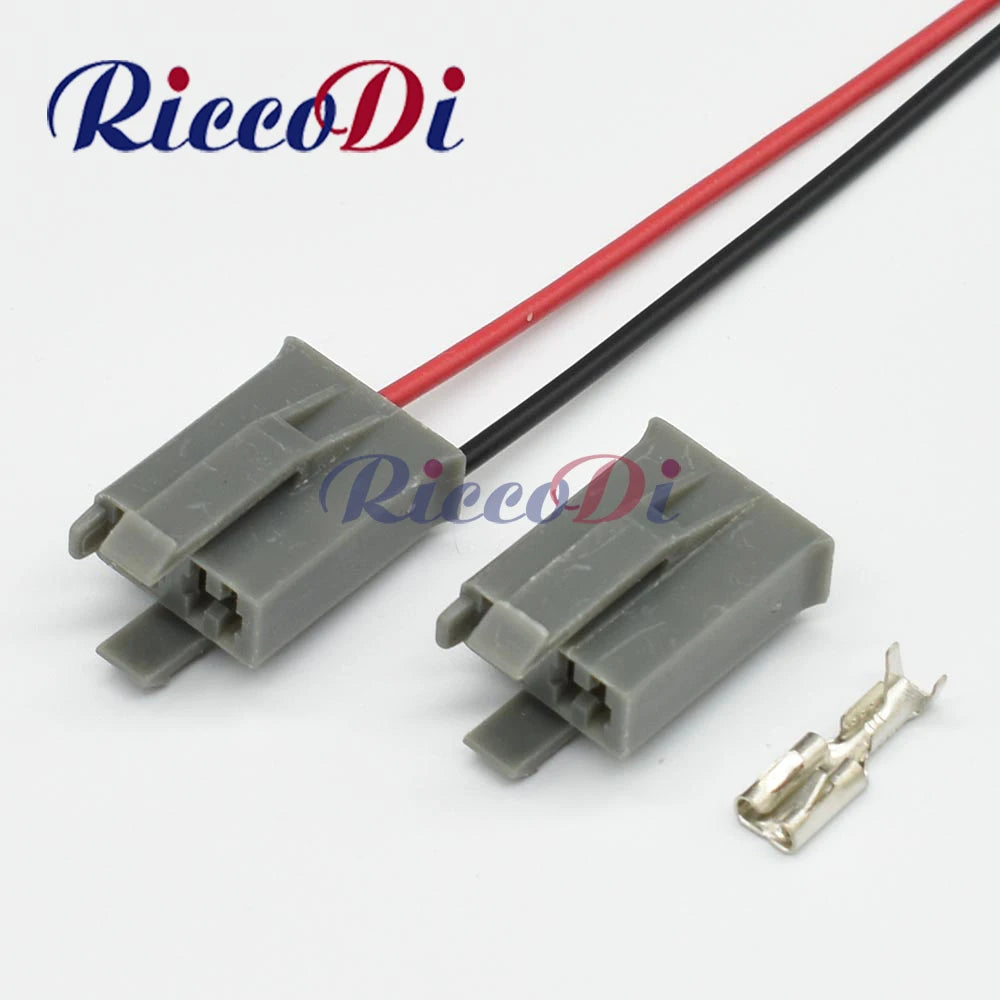 Overview of automotive 2 way female connector plug DJ7021A-4.8-21 for car electrical systems