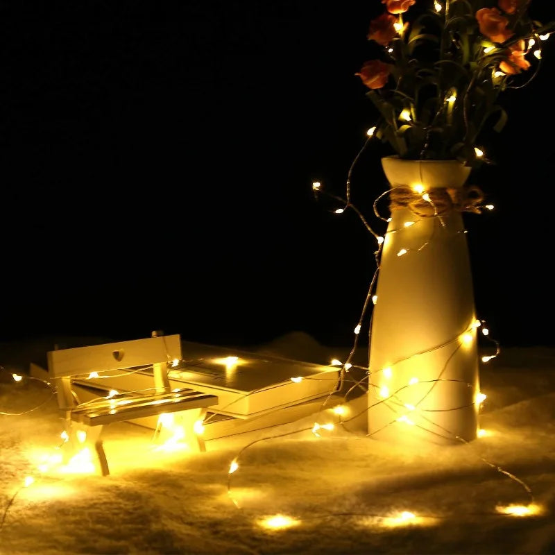 LED string lights for Christmas and party decor