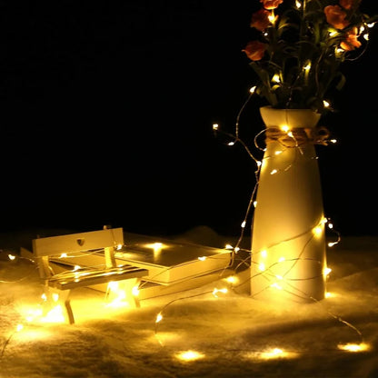 LED string lights for Christmas and party decor