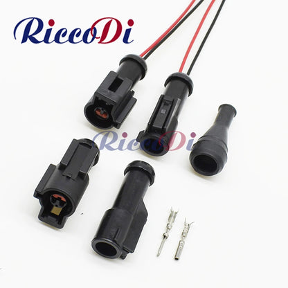 Overview of DJ70210-1.5-11/21 2 pin waterproof automotive sealed connector with wire for secure car wiring