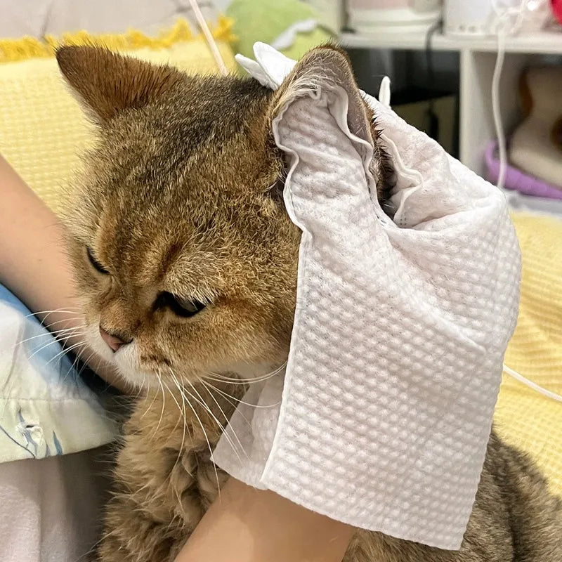 Disposable glove towel for dog and cat cleaning
