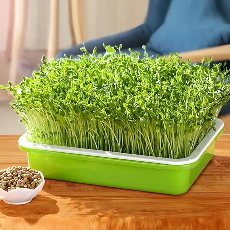 Double layer sprout plate for nursery pots and microgreens planting
