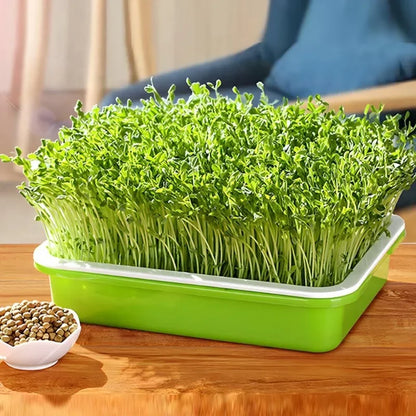 Double layer sprout plate for nursery pots and microgreens planting